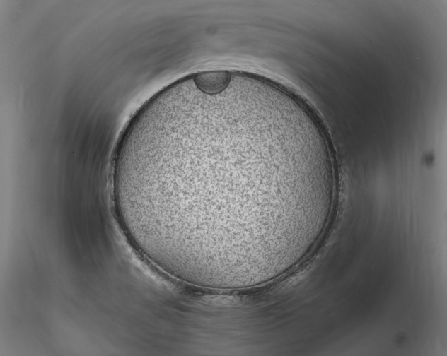 X0000115531517200911271334