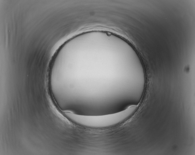 X0000115531518200911271334