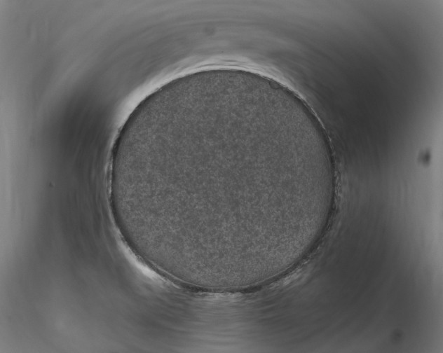 X0000115531519200911271334