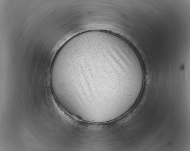 X0000115531521200911271334