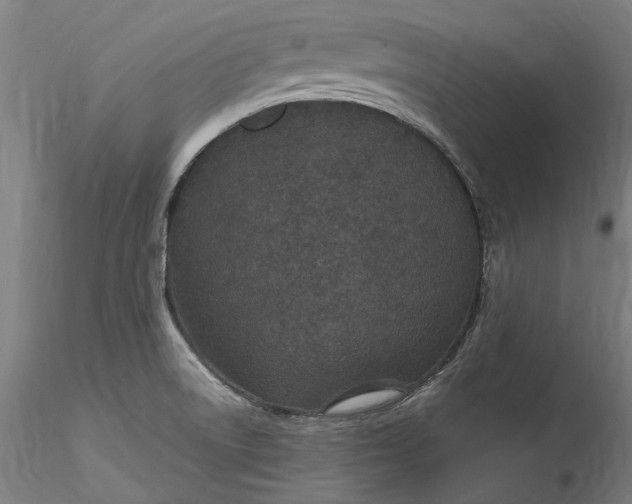 X0000115531522200911271334