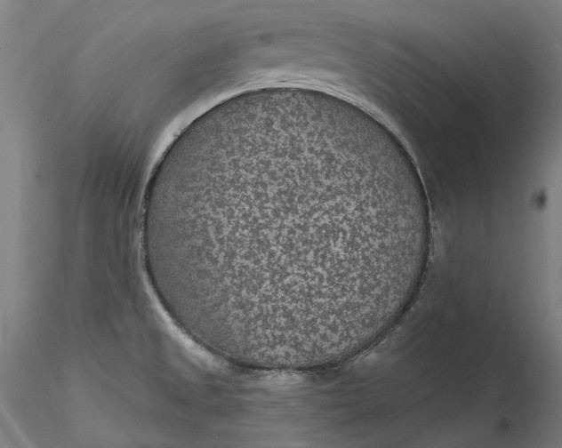 X0000115531525200911271334