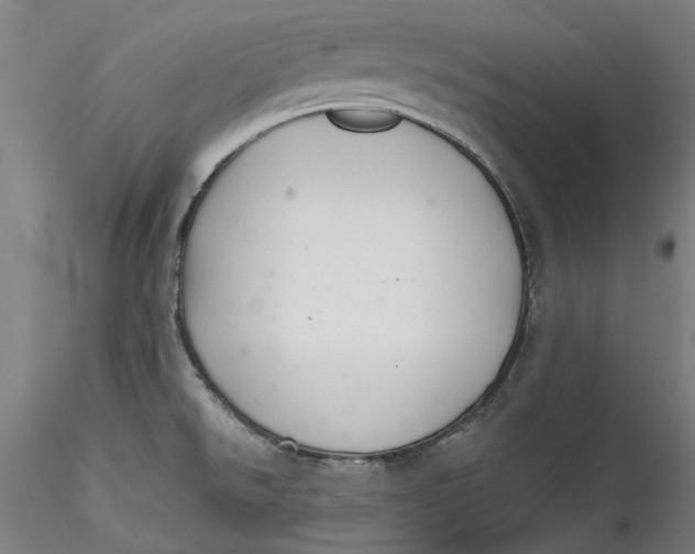 X0000115531526200911271334