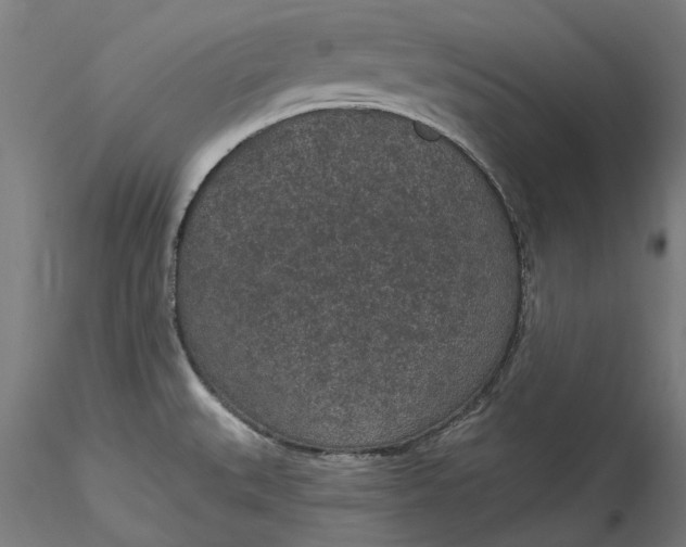 X0000115531527200911271334