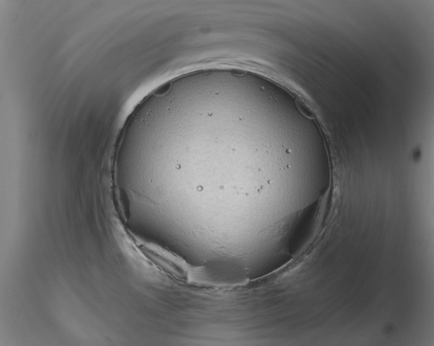 X0000115531530200911271334