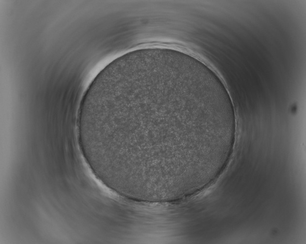 X0000115531533200911271334