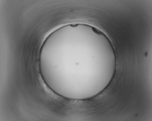 X0000115531534200911271334