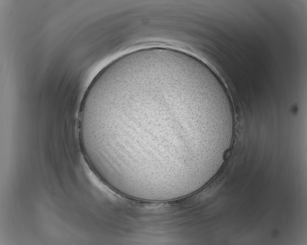 X0000115531535200911271334