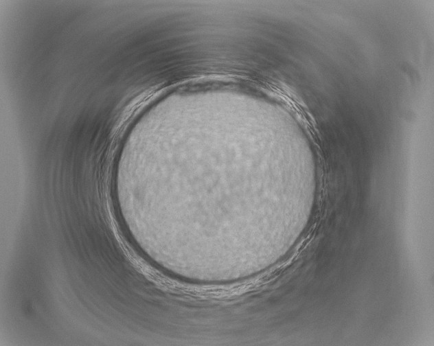 X0000115530001200912040959