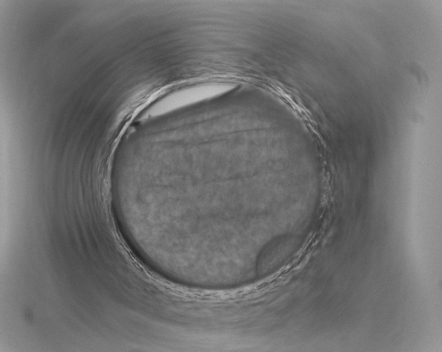 X0000115530002200912040959