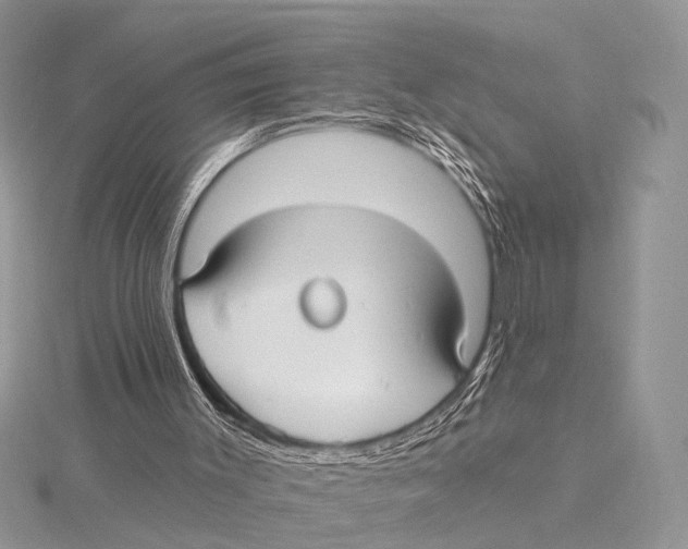 X0000115530003200912040959