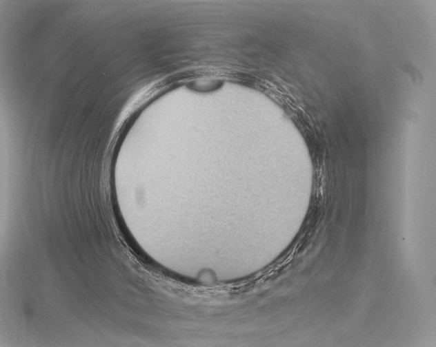 X0000115530004200912040959