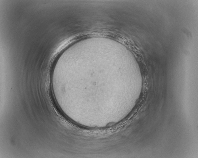 X0000115530005200912040959