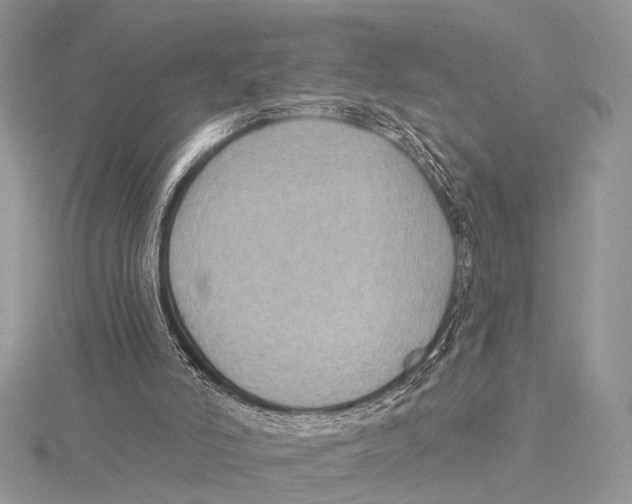 X0000115530006200912040959