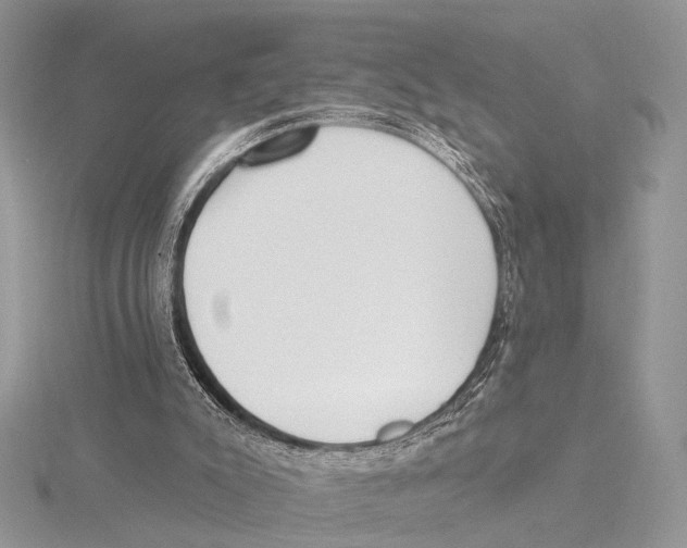 X0000115530007200912040959