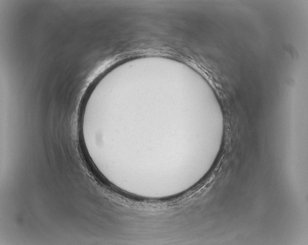 X0000115530008200912040959