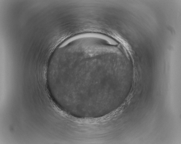 X0000115530009200912040959