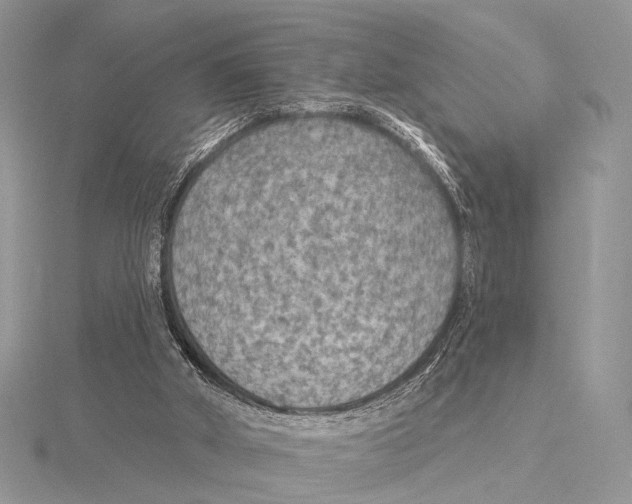 X0000115530010200912040959