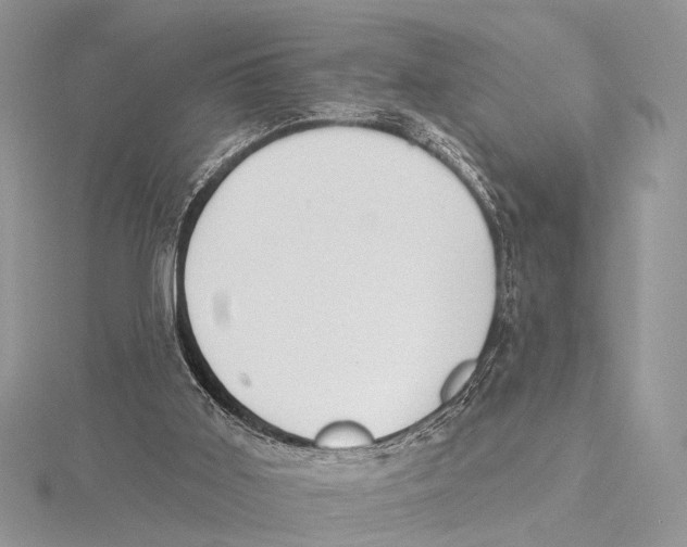 X0000115530011200912040959