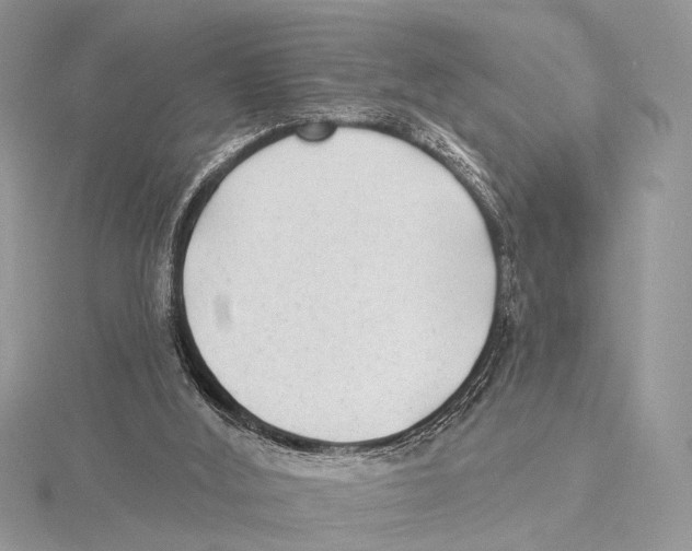 X0000115530012200912040959