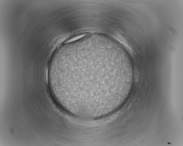 X0000115530014200912040959