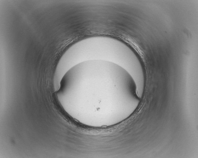 X0000115530017200912040959