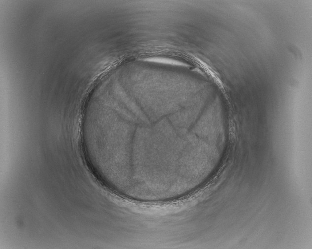 X0000115530018200912040959