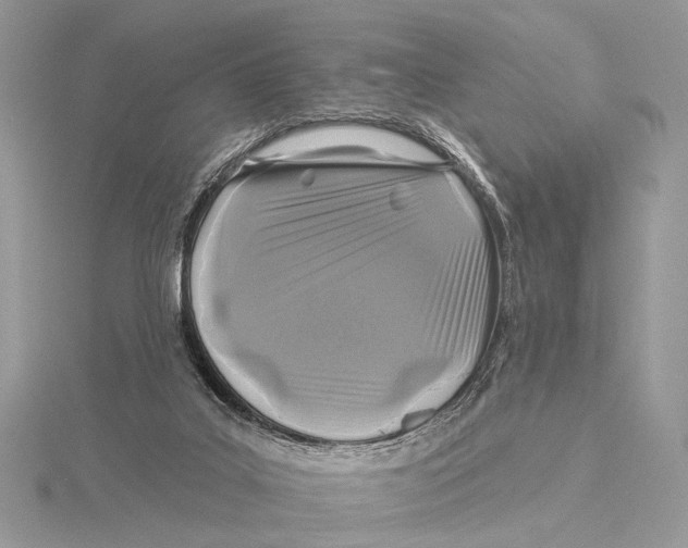 X0000115530019200912040959