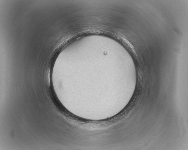 X0000115530020200912040959