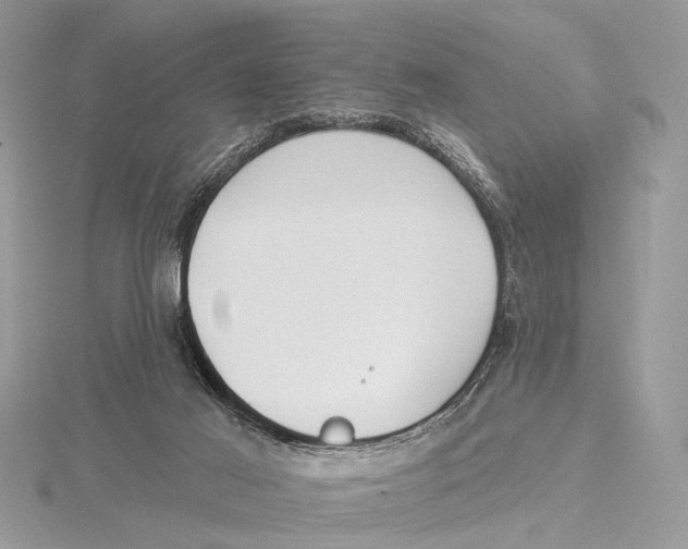 X0000115530021200912040959