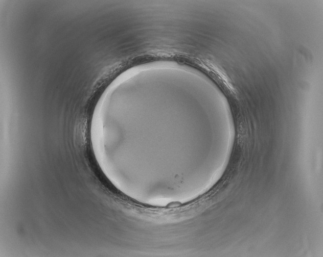 X0000115530023200912040959