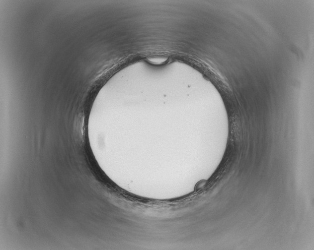 X0000115530024200912040959