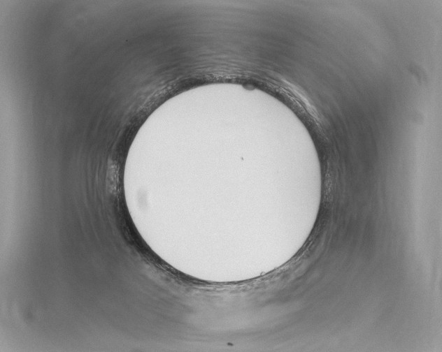 X0000115530025200912040959