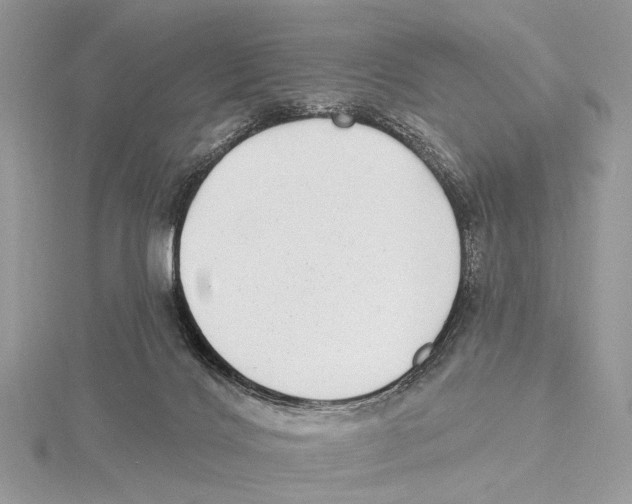 X0000115530028200912040959