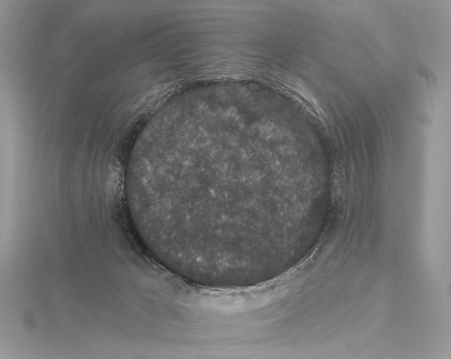 X0000115530029200912040959