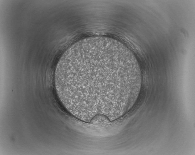 X0000115530030200912040959