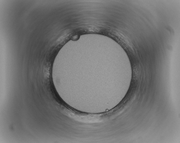 X0000115530032200912040959