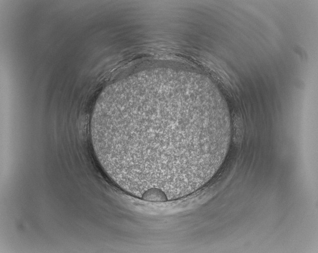 X0000115530034200912040959