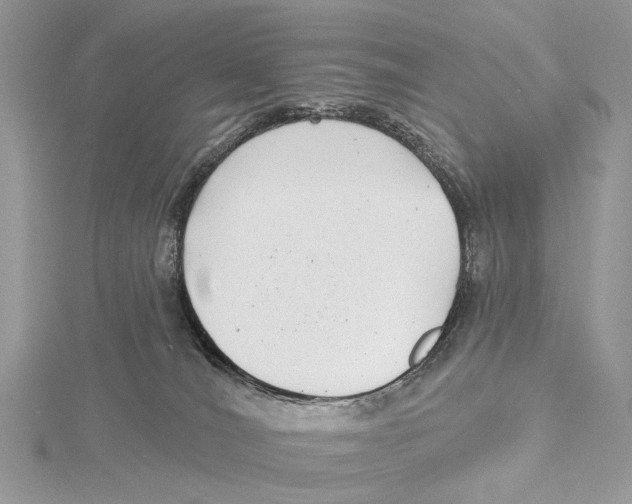 X0000115530036200912040959