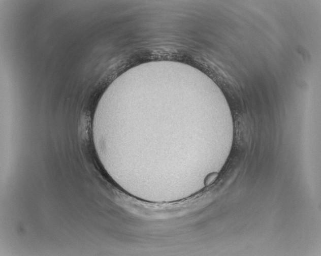 X0000115530038200912040959