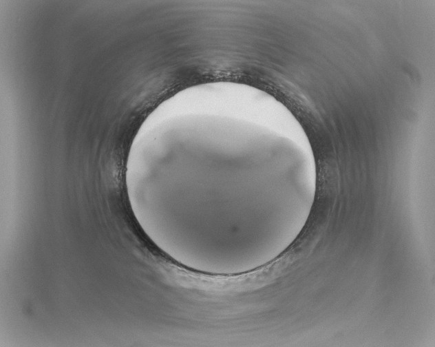 X0000115530039200912040959