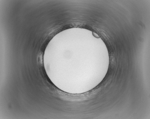 X0000115530042200912040959