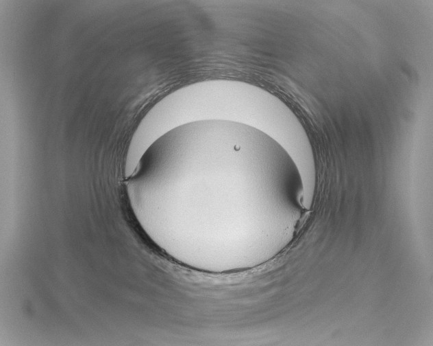 X0000115530043200912040959