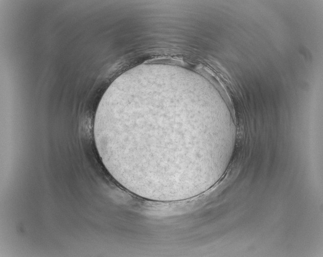 X0000115530045200912040959