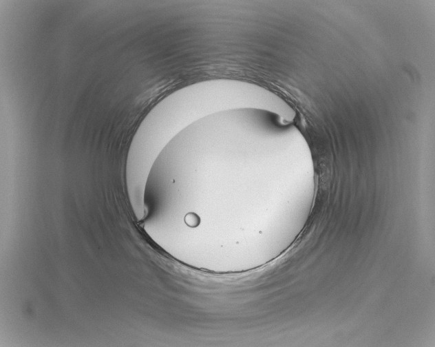 X0000115530047200912040959