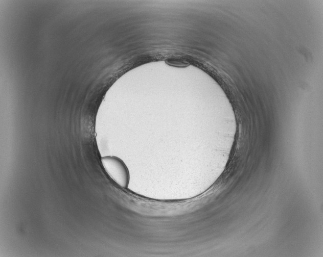 X0000115530048200912040959