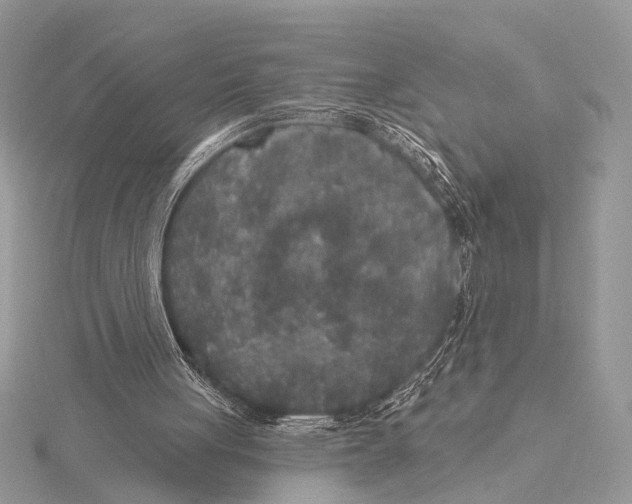 X0000115530051200912040958