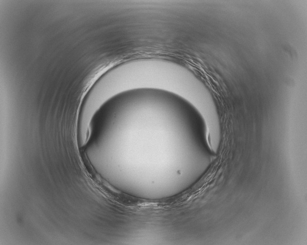 X0000115530052200912040958