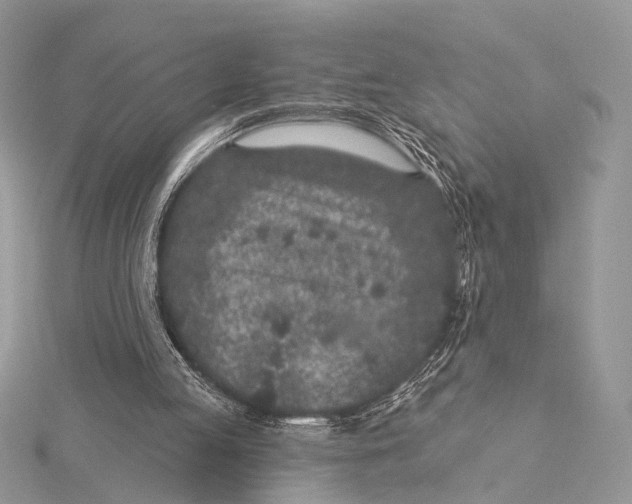 X0000115530053200912040958