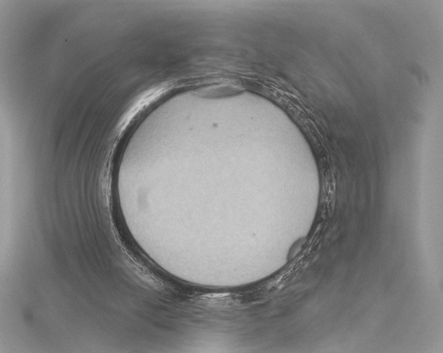 X0000115530054200912040958